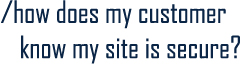 /How does my customer know my site is secure?